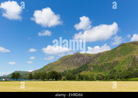 El distrito del lago Buttermere Mountain View de alta Shockrigg Cumbria Inglaterra bellas nubes blancas en verano Foto de stock