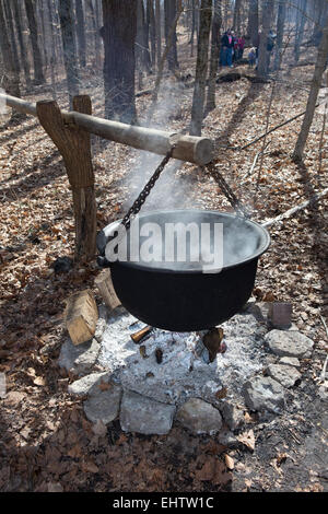 https://l450v.alamy.com/450ves/ehtw1c/gran-olla-de-hierro-fundido-utilizado-para-reducir-el-azucar-de-arce-para-sap-de-jarabe-de-maple-tradicional-metodo-de-reduccion-ehtw1c.jpg