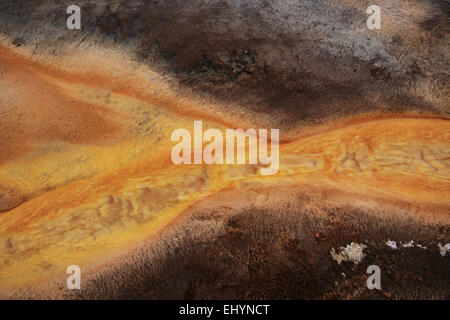 Mat bacteriana, Grand Prismatic Spring, el Parque Nacional Yellowstone, Wyoming, EE.UU.