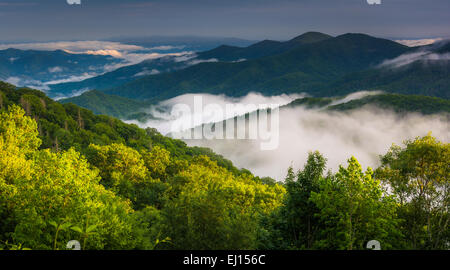 Las nubes bajas en un valle, visto desde Newfound Gap Road en el Great Smoky Mountains National Park, Carolina del Norte. Foto de stock