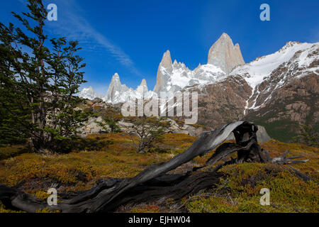 Monte Fitz Roy, macizo. Parque Nacional Los Glaciares. Patagonia. Argentina Foto de stock