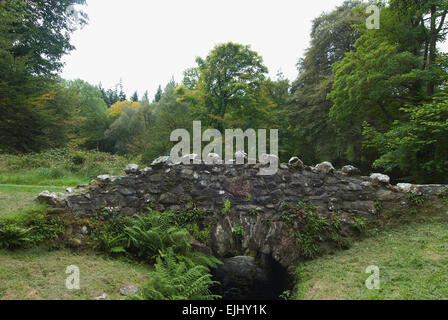 Uno de los 16 puentes que cruzan el río Shimna en Tollymore Park, Irlanda del Norte