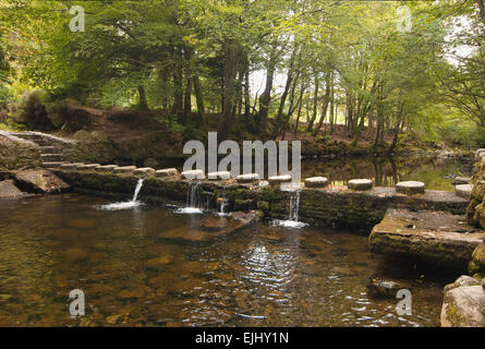 Uno de los 16 puentes que cruzan el río Shimna en Tollymore Park, Irlanda del Norte