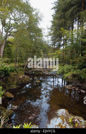 Uno de los 16 puentes que cruzan el río Shimna en Tollymore Park, Irlanda del Norte