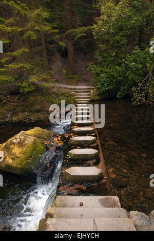 Uno de los 16 puentes que cruzan el río Shimna en Tollymore Park, Irlanda del Norte