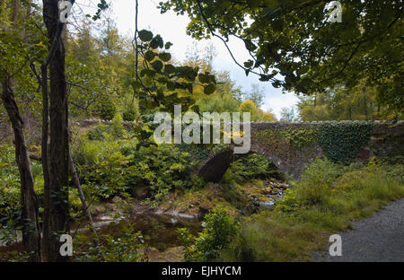 Uno de los 16 puentes que cruzan el río Shimna en Tollymore Park, Irlanda del Norte