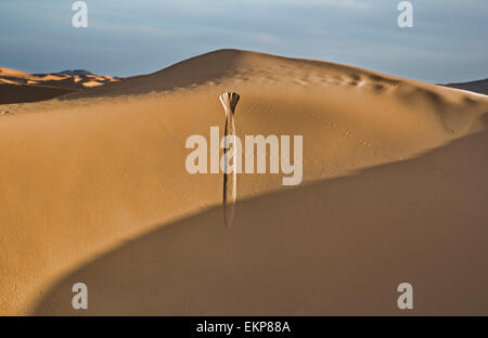 Varios Sand Hill en Erg Chebbi en el desierto del Sahara. Ers son grandes dunas formadas por el viento de arena. Marruecos Foto de stock