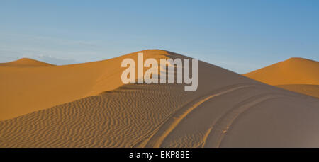 Varios Sand Hill en Erg Chebbi en el desierto del Sahara. Ers son grandes dunas formadas por el viento de arena. Marruecos Foto de stock