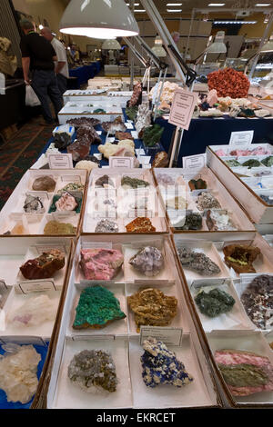 Rocas y minerales para la venta, Tucson Gem and Mineral Show, Tucson, Arizona. Foto de stock