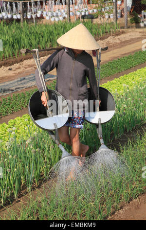 Vietnam, Hoi An, la huerta, jardinero, regado Foto de stock