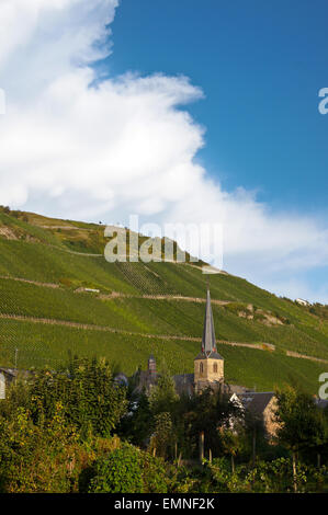 Graacher Himmelreich viña y torre de la iglesia de San Simón y Judas, Graach, valle de Mosel, Renania-Palatinado, Alemania Foto de stock