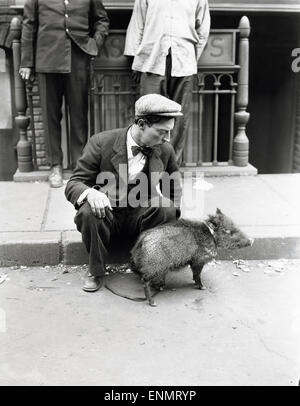 US-Der amerikanische Schauspieler Buster Keaton (1895 - 1966) spielt auf der Straße mit einem jungen Wildschwein, ca in den 1930 Foto de stock