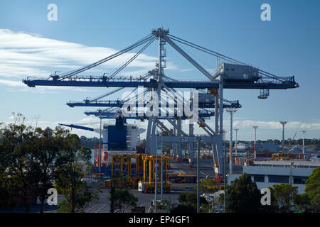 Grúas de contenedores en los puertos de Auckland, Auckland, Isla del Norte, Nueva Zelanda Foto de stock