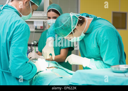 Los cirujanos trabajan con un par de tijeras en un paciente Foto de stock
