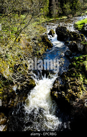 Una cascada en el río Tweed en Tweedsmuir, Scottish Borders Foto de stock