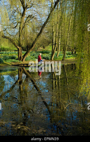 Una mujer y un perro pequeño por un lago bajo un gran árbol de sauce llorón.