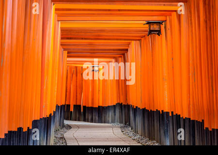 Fushimi Inari torii gates en Kyoto, Japón. Foto de stock