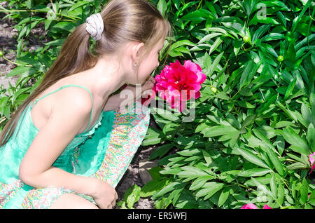 Flor de peony rosa de cerca, resumen de imagen floral, Nueva Jersey,  ., jardín botánico de primer plano botánicos peonías en flor de jardín  flores de primavera Fotografía de stock - Alamy