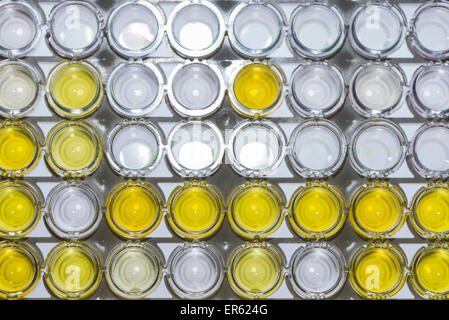 Tubos capilares pequeños, ordenados en una estantería blanca, Inmunoensayo Enzimático de examen, EIA, Chemnitz, en Sajonia, Alemania Foto de stock