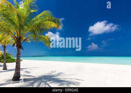 Dos palmeras con vistas a la laguna azul y blanca playa, Maldivas