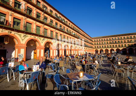 Bares en la Plaza de la Corredera, Córdoba, Andalucía, España, Europa Foto de stock