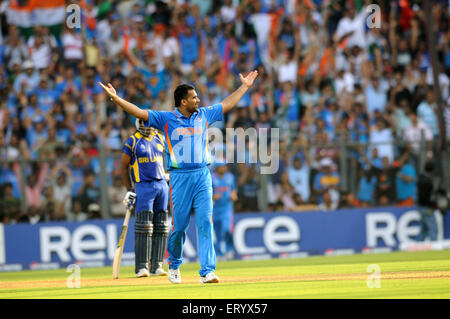 bowler Zaheer celebra el wicket Chamara Kapugedera Sri Lanka 2011 ICC World Cup Wankhede Stadium Mumbai India Foto de stock