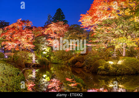 Nikko, Japón en Shoyo-en jardín en el otoño.