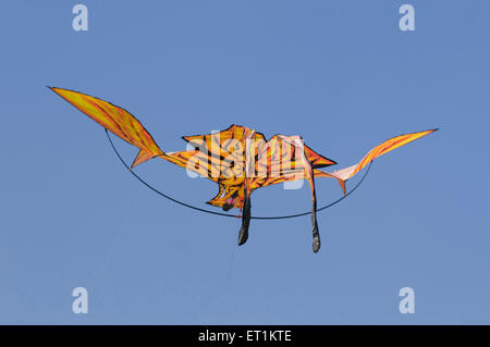Diseñado y coloreado fancy volar cometas Pune, Maharashtra, India Asia Foto de stock