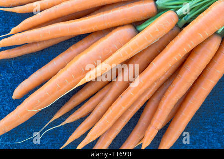 Las zanahorias orgánicas recién cosechadas. Foto de stock