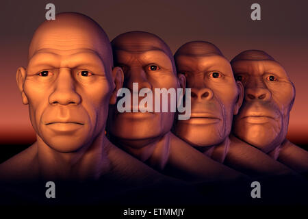 Imagen conceptual que muestra cuatro etapas de la evolución humana; los australopitecos, Homo Habilis, Homo erectus y Homo Sapiens.