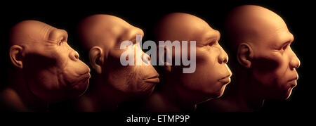 Imagen conceptual que muestra cuatro etapas de la evolución humana; los australopitecos, Homo Habilis, Homo erectus y Homo Sapiens.