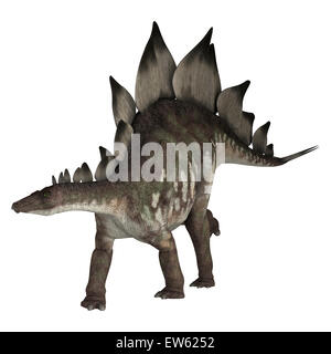 Digital 3D Render de un dinosaurio estegosaurio aislado sobre fondo blanco. Foto de stock
