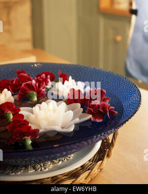Waterlily Still-Life de velas flotando en un cuenco de cristal azul con claveles rojos Foto de stock