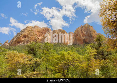 Montañas y árboles En Cave Creek Canyon, Portal, Arizona Foto de stock