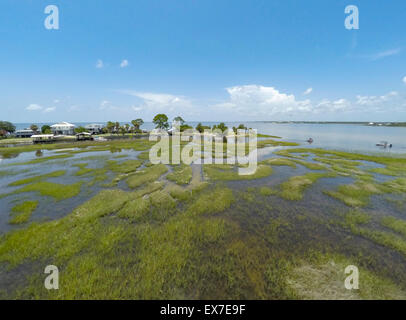 Isla oscura, Big Bend Algas Marinas Aquatic preservar, Florida Foto de stock