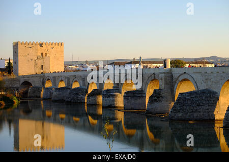 Torre de la Calahorra y del puente romano (Puente Romano) sobre el río Guadalquivir, sitio UNESCO, Córdoba, Andalucía, España. Foto de stock