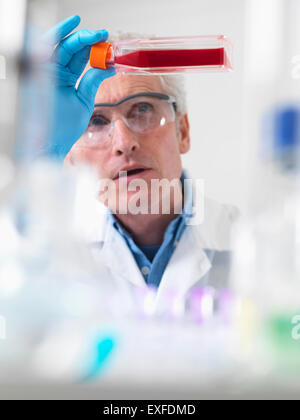 Cerca del biólogo celular sosteniendo un matraz conteniendo células madre Foto de stock