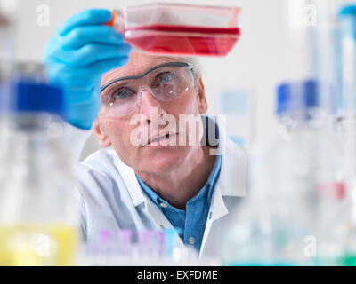Cerca del biólogo celular sosteniendo un matraz conteniendo células madre Foto de stock