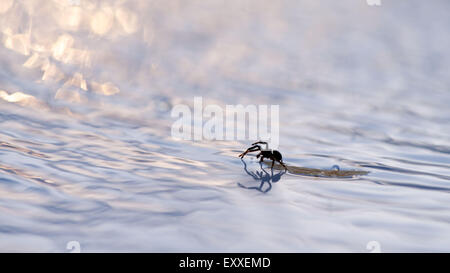 Calentamiento del agua - Resourcefulness