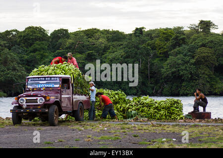 Cargando bananos en Altagracia terminal portuaria en la Isla de Ometepe, Nicaragua Foto de stock