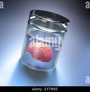 Cerebro Humano en un tarro grande Foto de stock