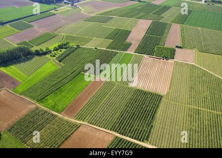 Zona agrícola con campos, praderas y caminos desde el aire, Bélgica Foto de stock