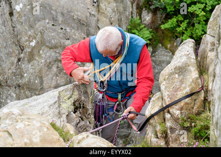 Experimentado escalador usando un arnés de escalada prepara un belay atar con una cuerda superior cinta y mosquetones. Gales UK Foto de stock