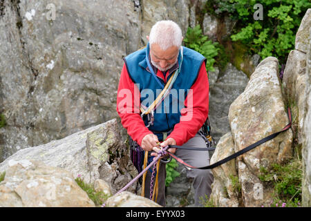 Experimentado escalador preparando para subir configurando un belay atar con una cuerda superior cinta y mosquetones. El norte de Gales, Reino Unido, Gran Bretaña Foto de stock