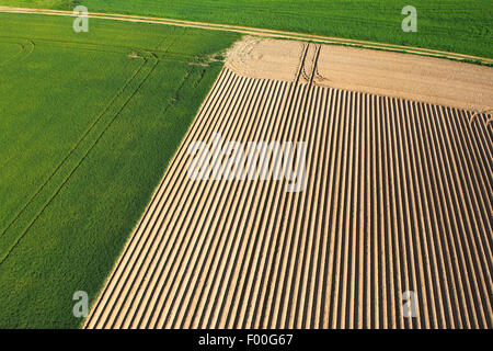 Zona agrícola con campos y praderas, desde el aire, Bélgica Foto de stock