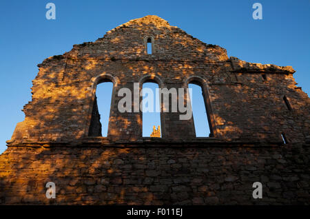 Cisterciense del siglo XII, ruinas de la Abadía de Jerpoint, cerca de Thomastown, condado de Kilkenny, Irlanda Foto de stock