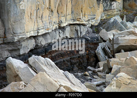 Estratificación de roca a lo largo de la costa de Boltodden, Kvalvagen / Svalbard, Spitsbergen, Noruega Foto de stock