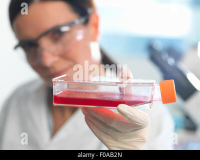 El biólogo celular femenino celebración matraz conteniendo células madre, cultivadas en un medio de crecimiento rojo Foto de stock