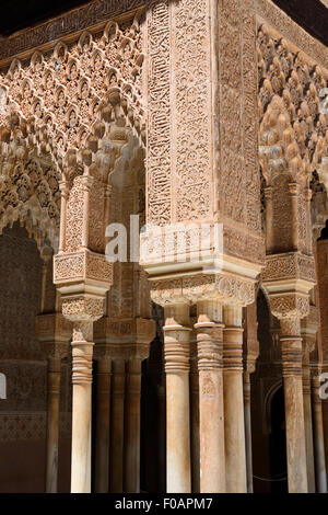 Palacio de los Leones dentro del complejo del Palacio de la Alhambra, Granada, Andalucía, España Foto de stock