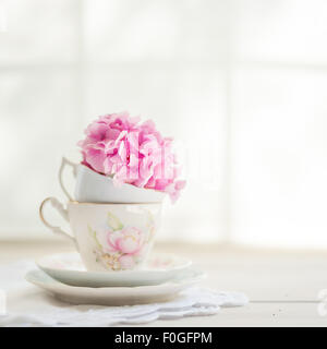 Una sola rosa hortensia cabeza floral en una taza de té vintage